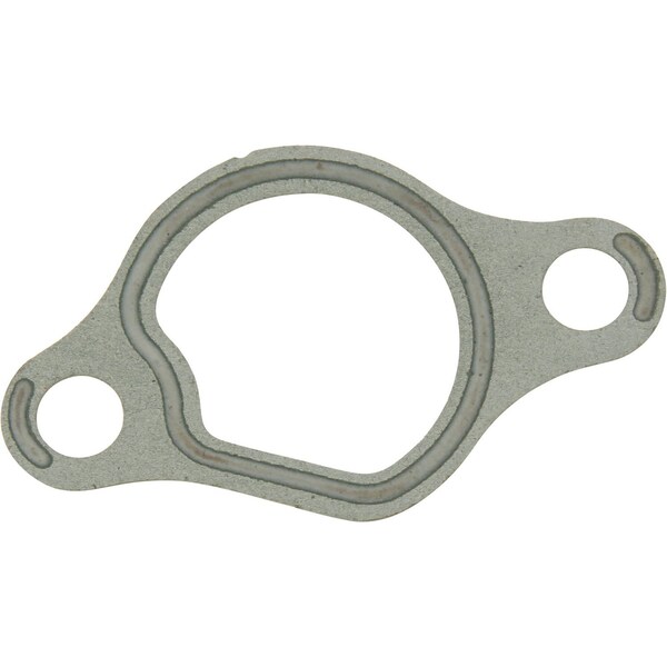 Reinz Water Sleeve Gasket, 702739600 702739600 - main